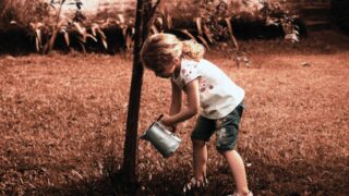 水瓶座が「ずるい」と言われる本当の理由とは?